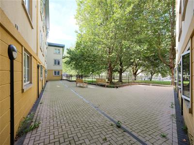 Picture 16